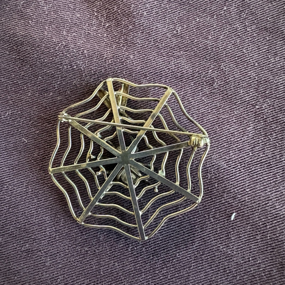 Silver Spider Web Brooch View 2